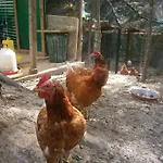 Al Posto Apartmán