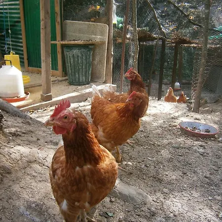 Al Posto Апартаменты