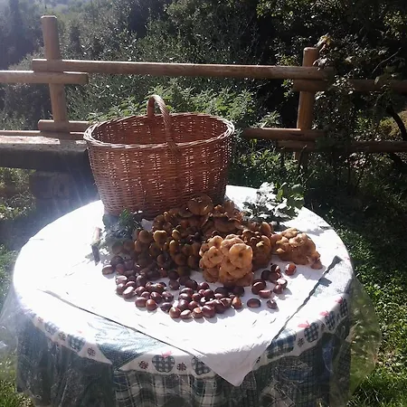 Apartment Al Posto Perugia